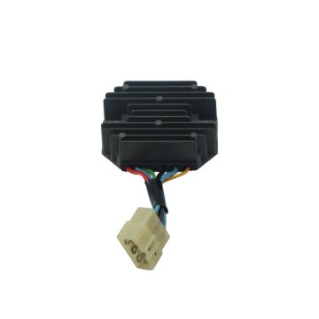 R10/R13/R15 Mini Ekskavatör Regülatör
