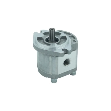 R10 Mini Ekskavatör Dişli Pompa